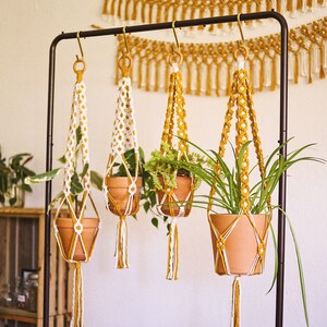 Four macrame plant hangers (two white and two mustard) with clay pots and houseplants are hanging from a wire rack. In the background, 3 mustard macrame wall hangings are against a white wall.