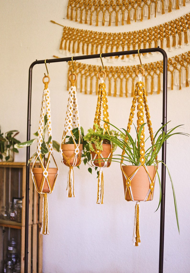 Four macrame plant hangers (two white and two mustard) with clay pots and houseplants are hanging from a wire rack. In the background, 3 mustard macrame wall hangings are against a white wall.