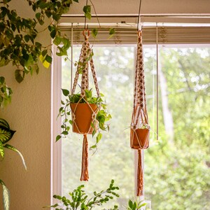 Two white and mustard plant hangers hang next to a window. Both hold clay pots with houseplants. More houseplants are in the background.