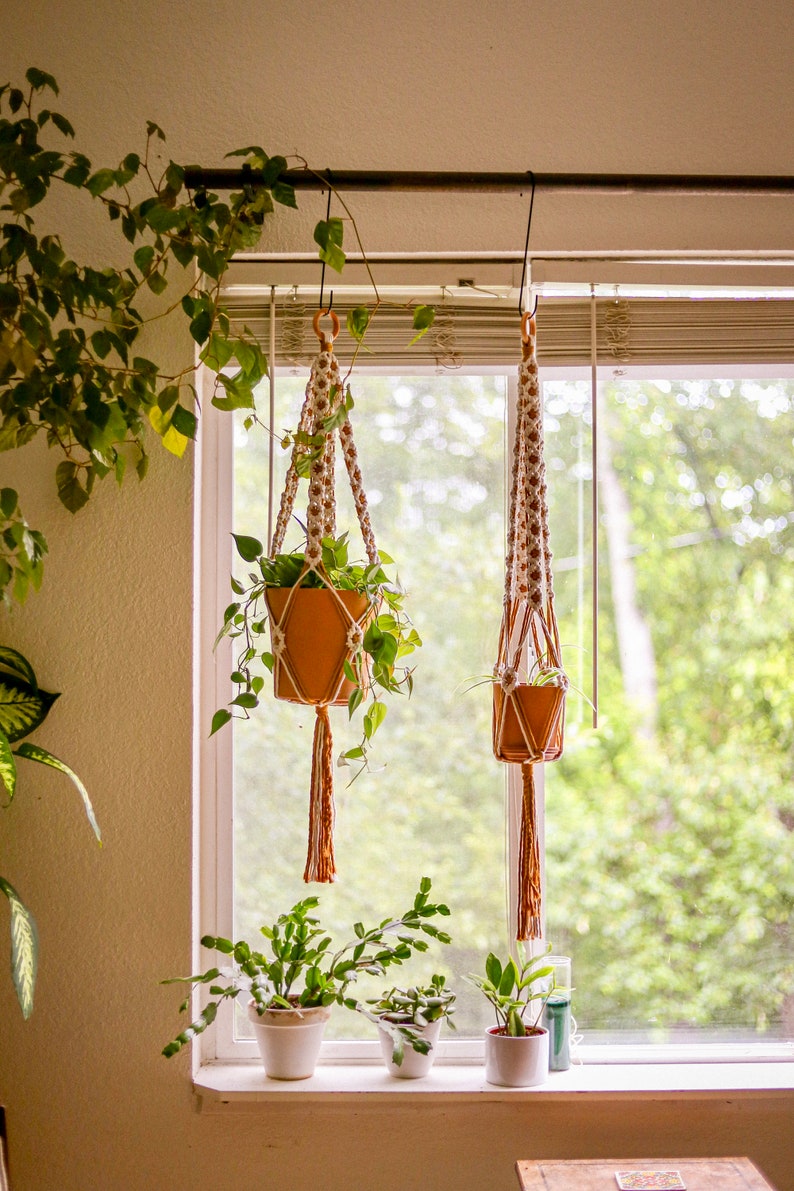 Two white and mustard plant hangers hang next to a window. Both hold clay pots with houseplants. More houseplants are in the background.