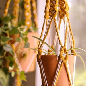 Close-up photo of the mustard and white macrame plant hanger holding a terra cotta pot and small spider plant.