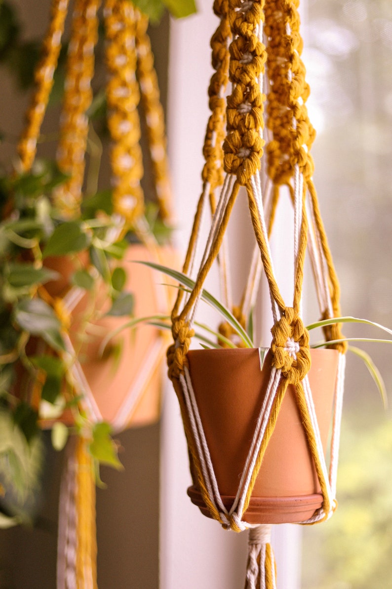 Close-up photo of the mustard and white macrame plant hanger holding a terra cotta pot and small spider plant.