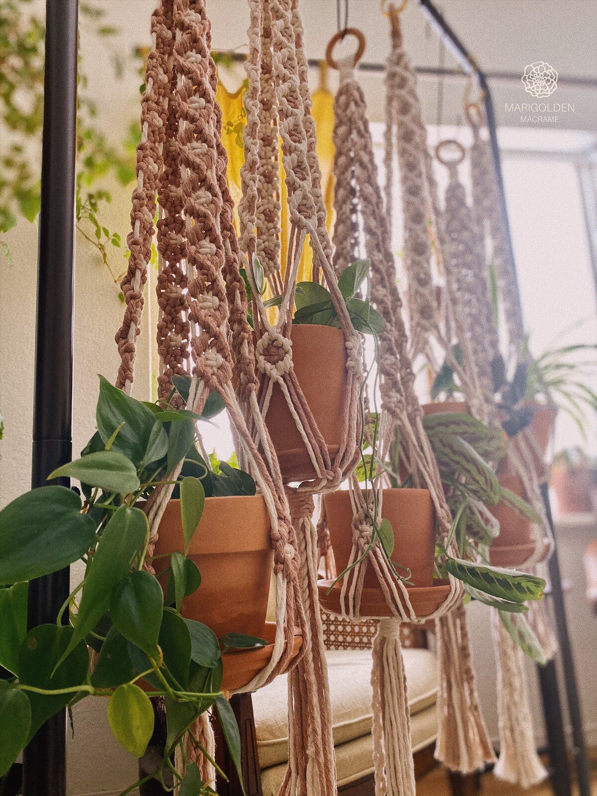 DAISY CHAIN Macrame Plant Hanger in Pastels Blush Lavender Etsy