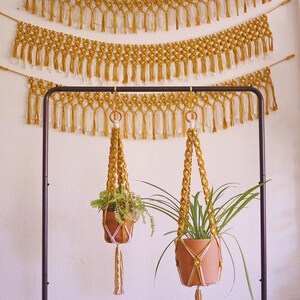 Two mustard macrame plant hangers with clay pots and houseplants are hanging from a wire rack. In the background, 3 mustard macrame wall hangings are against a white wall.