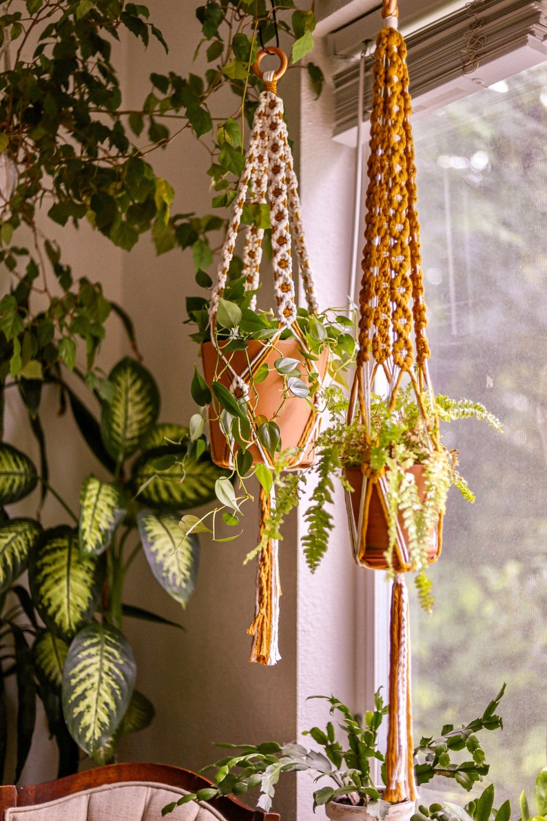 A white and mustard plant hanger hangs next to a mustard and white plant hanger. Both hold clay pots with houseplants. More houseplants are in the background.