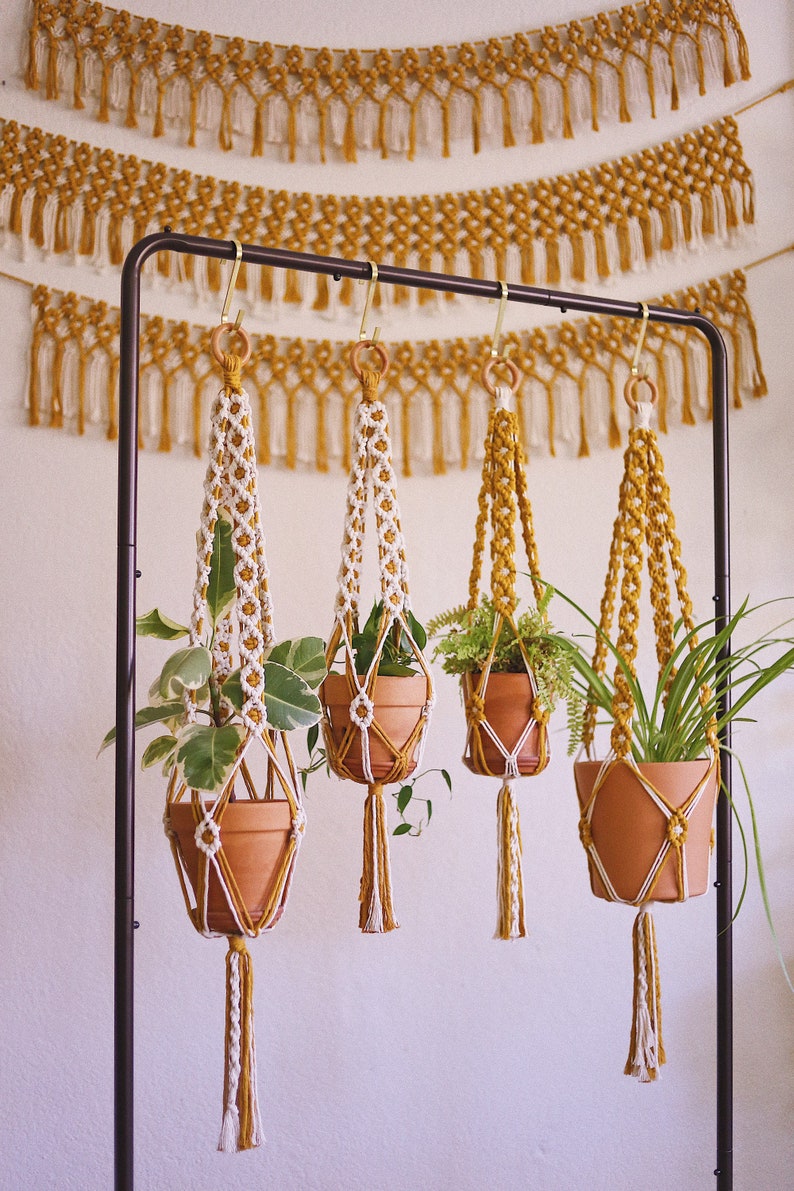 Four macrame plant hangers (two white and two mustard) with clay pots and houseplants are hanging from a wire rack. In the background, 3 mustard macrame wall hangings are against a white wall.