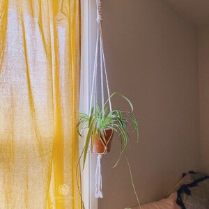 May include: A white macrame plant hanger with a small potted plant hanging from it. The plant is green and has long, thin leaves. The hanger is hanging from a hook on a wall. A yellow curtain is in the background.