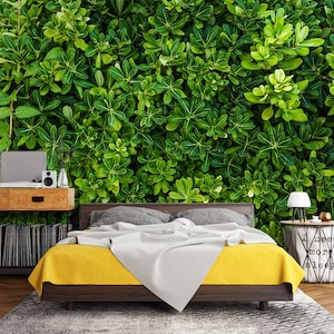 3D grüne Blätter L1652 Ablösbare Tapete selbstklebende Tapete Extra große Peel & Stick Wallpaper Tapete Wandbild AJ HINTERGRUNDBILDER