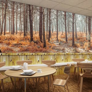 3D Herbst Wald Landschaft A8004 abnehmbare Tapete selbstklebend Tapete große Peel & Stick Tapete Tapete Wandbild Assaf Frank