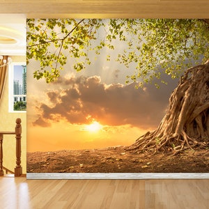 3D Dusk Ancient Tree R4660 Removable Wallpaper Self Adhesive Wallpaper Extra Large Peel & Stick Wallpaper Wallpaper Mural AJ WALLPAPERS