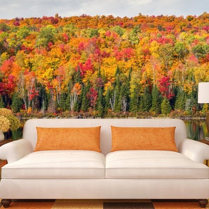 3D Dichte Herbst Wald R4596 abnehmbare Tapete selbstklebend Tapete extra groß Peel & Stick Tapete Tapete Wandbild AJ WALLPAPERS
