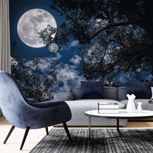 3D Serene Vollmond R6146 abnehmbare Tapete selbstklebend Tapete extra groß Peel & Stick Tapete Tapete Wandbild AJ WALLPAPERS