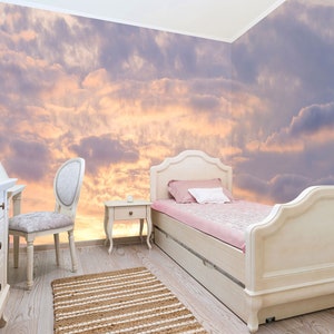 3D Romantische zarte Himmel A8035 abnehmbare Tapete selbstklebend Tapete große Peel & Stick Tapete Tapete Wandbild Assaf Frank