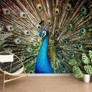 3D Animal Noble Peacock L2722 verwisselbare wallpaper zelfklevende wallpaper extra grote Peel & Stick Wallpaper Wallpaper muurschildering AJ WALLPAPERS