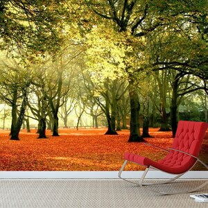 3D Herbst Wald A670 abnehmbare Tapete selbstklebende Tapete Extra große Peel & Stick Wallpaper Wallpaper Wandbild AJ WALLPAPERS