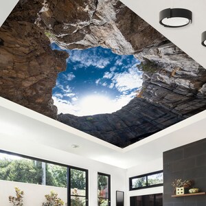 3D Traces Of Nature CA905 Ceiling Wallpaper Removable Self Adhesive Wallpaper Large Peel & Stick Wallpaper Wallpaper Mural AJ WALLPAPERS