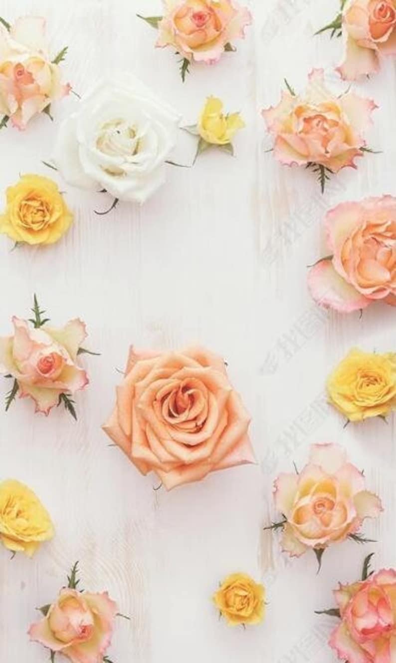 3D Flowers E103 Removable Wallpaper Self Adhesive Wallpaper Extra Large Peel /& Stick Wallpaper Wallpaper Mural AJ WALLPAPERS