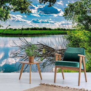 3D Sunny Spring Nature A4287 Papel pintado extraíble Papel pintado autoadhesivo Papel tapiz Grande Peel & Stick Papel tapiz Mural Beth Sheridan