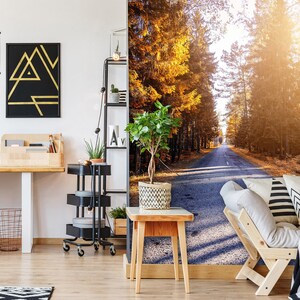 3D Sunshine Forest Road R1217 abnehmbare Tapete selbstklebend Tapete extra groß Peel & Stick Tapete Tapete Wandbild AJ WALLPAPERS