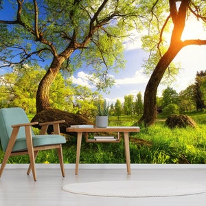 3D Natur Grün Wald R6947 abnehmbare Tapete selbstklebend Tapete extra groß Peel & Stick Tapete Tapete Wandbild AJ WALLPAPERS