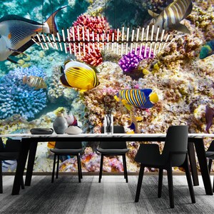 3D Fun Fish Discovery L1526 abnehmbare Tapete selbstklebende Tapete extra groß Peel & Stick Tapete Tapete Wandbild AJ WALLPAPERS