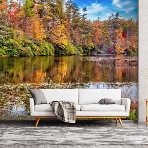 3D Herbst Waldsee A4307 abnehmbare Tapete selbstklebende Tapete große Schale & Klebetapete Tapete Wandbild Beth Sheridan