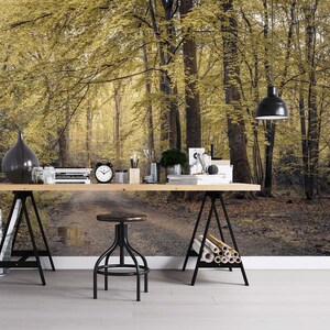 3D Herbst Ruhige Wald Weg A8024 abnehmbare Tapete selbstklebend Tapete große Schale & Stick Tapete Tapete Wandbild Assaf Frank