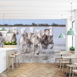 3D Running Water Horse Grupa A406 Tapeta samoprzylepna Duża tapeta Peel & Stick Tapeta ścienna Marco Carmassi