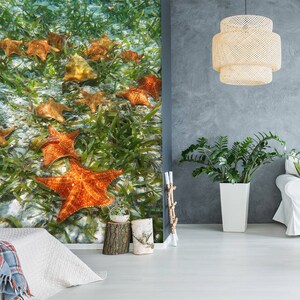 3D Estrellas de mar y plantas acuáticas L1690 Papel tapiz extraíble Papel tapiz autoadhesivo Extra grande Peel & Stick Papel tapiz Papel tapiz Mural