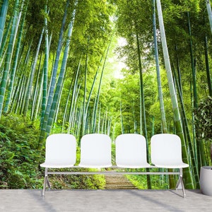 3D Nature's Bamboo Forest L562 Carta da parati rimovibile Carta da parati autoadesiva Carta da parati Extra Large Peel & Stick Wallpaper Wallpaper Mural AJ WALLPAPERS