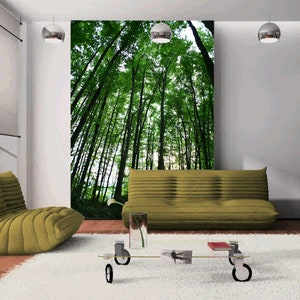 3D große grüne Wald R4543 abnehmbare Tapete selbstklebend Tapete extra groß Peel & Stick Tapete Tapete Wandbild AJ WALLPAPERS