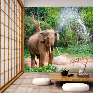 3D Elephant Waterfall A1352 Fonds peint amovible Auto-adhésif Fonds d'écran Extra Large Peel - Stick Wallpaper Wallpaper Mural AJ WALLPAPER AJ WALLPAPER