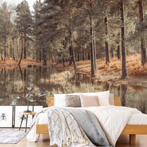 3D Forest River Quiet Time A8006 abnehmbare Tapete selbstklebend Tapete große Schale & Stick Tapete Tapete Wandbild Assaf Frank