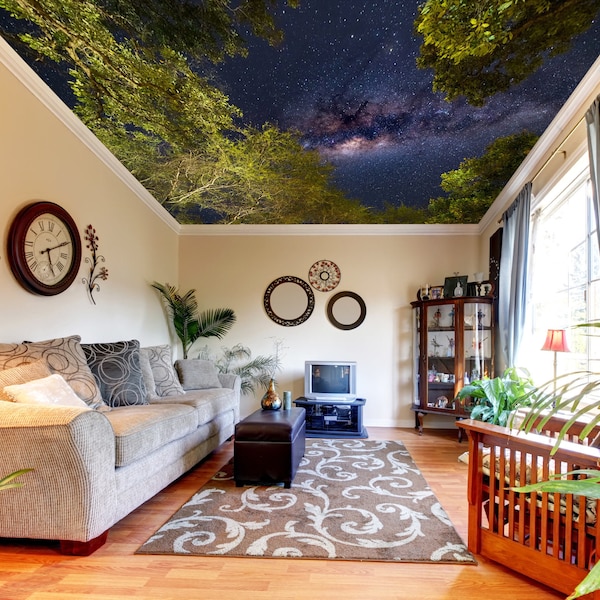 Night Sky Ceiling Wallpaper Etsy