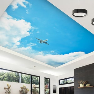 3D Avión Wish CA1024 Papel tapiz de techo extraíble Autoadhesivo Papel pintado Grande Peel & Stick Papel tapiz Papel tapiz Mural AJ WALLPAPERS