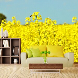 3D Koolzaad Bloemen R10167 Verwijderbaar Behang Zelfklevend Behang Extra Grote Peel &Stick Wallpaper Wallpaper Mural AJ WALLPAPERS