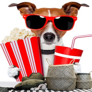 3D Tier Hund Film R4714 abnehmbare Tapete selbstklebend Tapete extra groß Peel & Stick Tapete Tapete Wandbild AJ WALLPAPERS