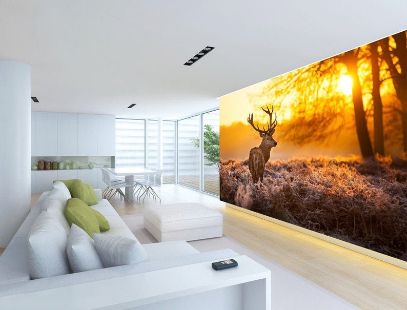 3DSunset Animal Antelope Tree772Removable Wallpaper Self Adhesive Wallpaper Extra Large Peel /& Stick Wallpaper Wallpaper Mural AJ WALLPAPERS