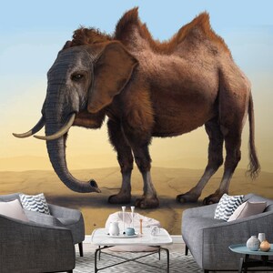 3D Cam éléphant C227 Fonds peint amovible Auto-adhésif Fonds d'écran Extra Large Peel - Stick Wallpaper Wallpaper Mural AJ WALLPAPER Vincent