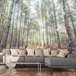 3D Sunny Cool Forest A8040 abnehmbare Tapete selbstklebend Tapete große Peel & Stick Tapete Tapete Wandbild Assaf Frank