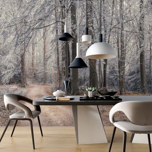 3D Winter Wald Weg A8025 abnehmbare Tapete selbstklebend Tapete große Peel & Stick Tapete Tapete Wandbild Assaf Frank