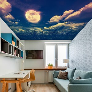 3D Full Moon Wish CA3319 Ceiling Wallpaper Removable Self Adhesive Wallpaper Large Peel & Stick Wallpaper Wallpaper Mural AJ WALLPAPERS