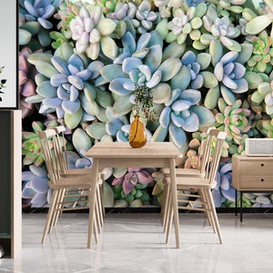 3D Sukkulenten Pflanzen L1016 Abnehmbare Tapete selbstklebende Tapete Extra große Peel & Stick Wallpaper Tapete Wandbild AJ HINTERGRUNDBILDER