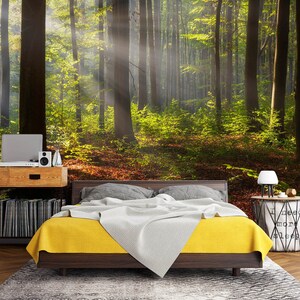 3D Sonnenschein Wald L3074 Abnehmbare Tapete Selbstklebende Tapete Extra Großes Wandbild AJ WALLPAPERS