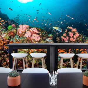 3D Süße bunte Fische L1523 abnehmbare Tapete selbstklebende Tapete extra groß Peel & Stick Tapete Tapete Wandbild AJ WALLPAPERS