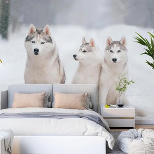 3D Tier Wolf L2748 Entfernbare Tapete Selbstklebende Tapete Extra Großes Wandbild zum Abziehen & Aufkleben AJ WALLPAPERS