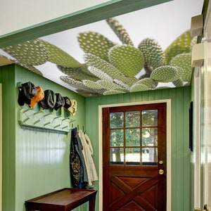 3D Green Cactus CA5038 Papel tapiz de techo Papel tapiz autoadhesivo extraíble Papel tapiz grande Peel & Stick Mural AJ WALLPAPERS Assaf Frank