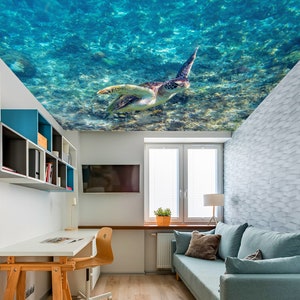 Op de afbeelding: Een kamer met een blauwe en groene zeeschildpad plafondmuurschildering. De kamer heeft een bureau, een bank, een raam en een boekenkast.