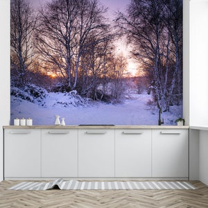 3D Snow Morning Sunrise Forest A711 Desmontable Wallpaper Auto Adhesive Wallpaper Large Peel & Stick Wallpaper Mural Assaf Frank