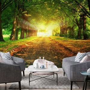3D Sunshine Forest Parkway L771 abnehmbare Tapete selbstklebende Tapete extra groß Peel & Stick Tapete Tapete Wandbild AJ WALLPAPERS